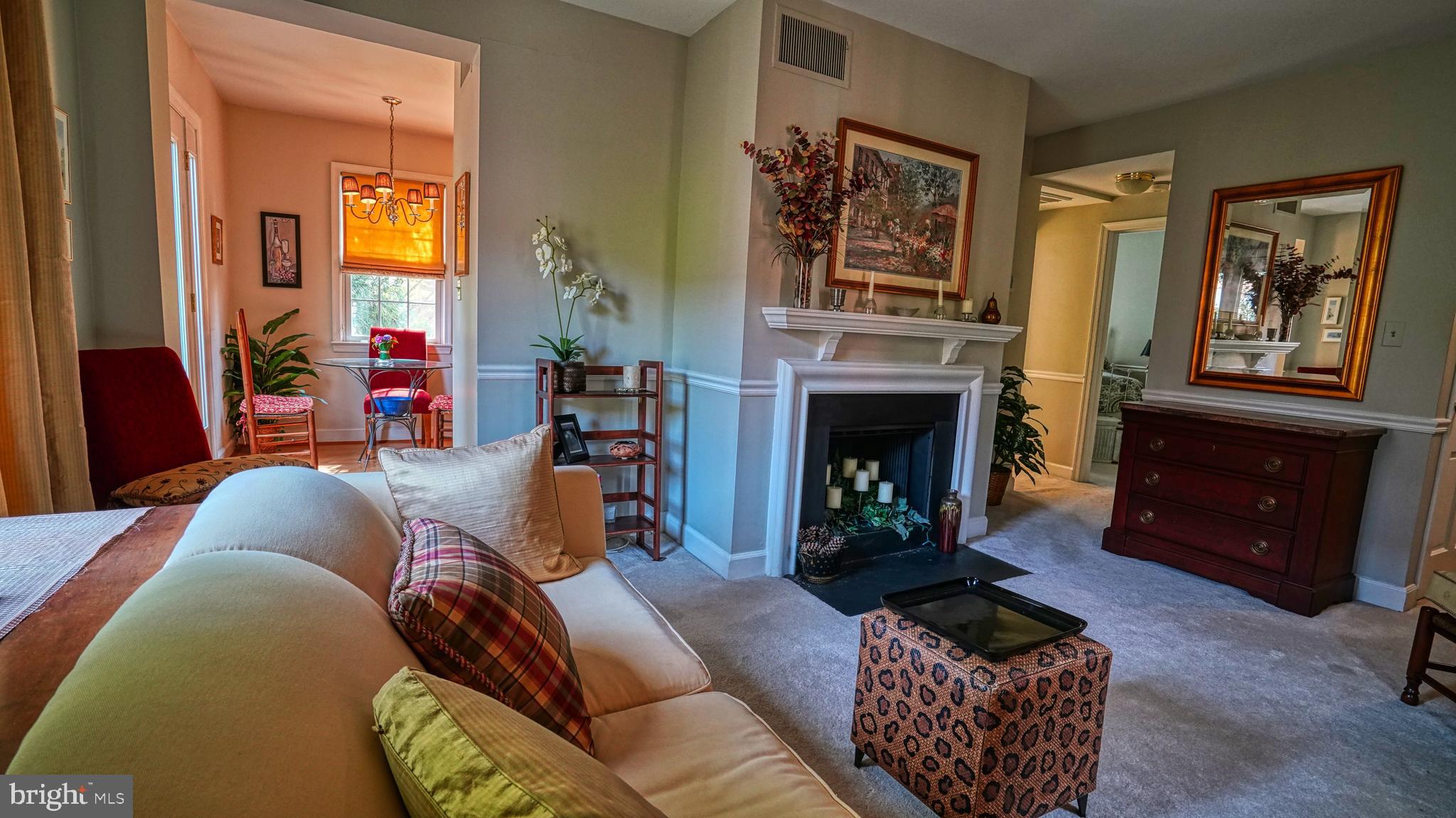 1107 North Pitt Street, Unit 2A Alexandria, VA 22314 - Photo 17 of 32 a living room with furniture fireplace and window