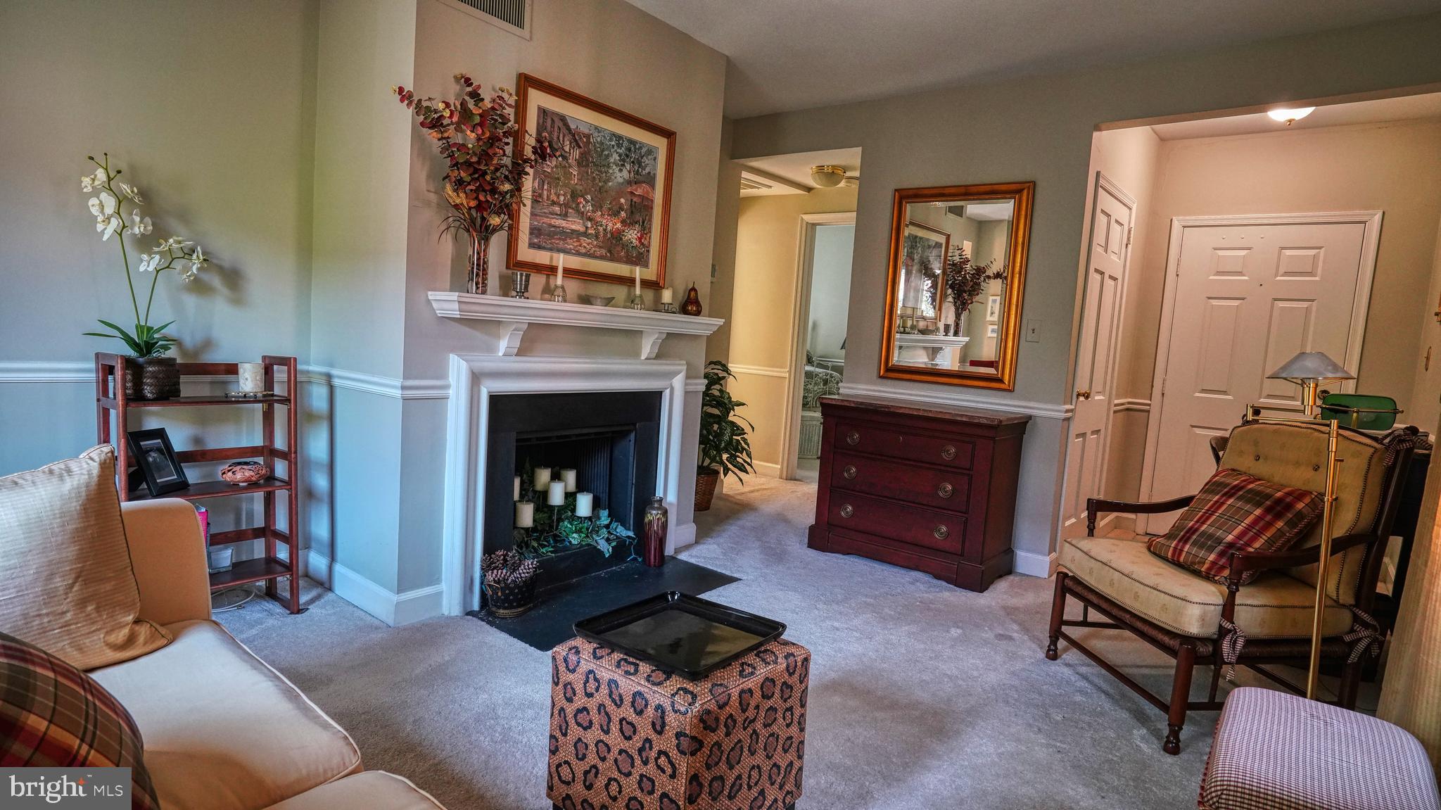 1107 North Pitt Street, Unit 2A Alexandria, VA 22314 - Photo 19 of 32 a living room with furniture and a fireplace