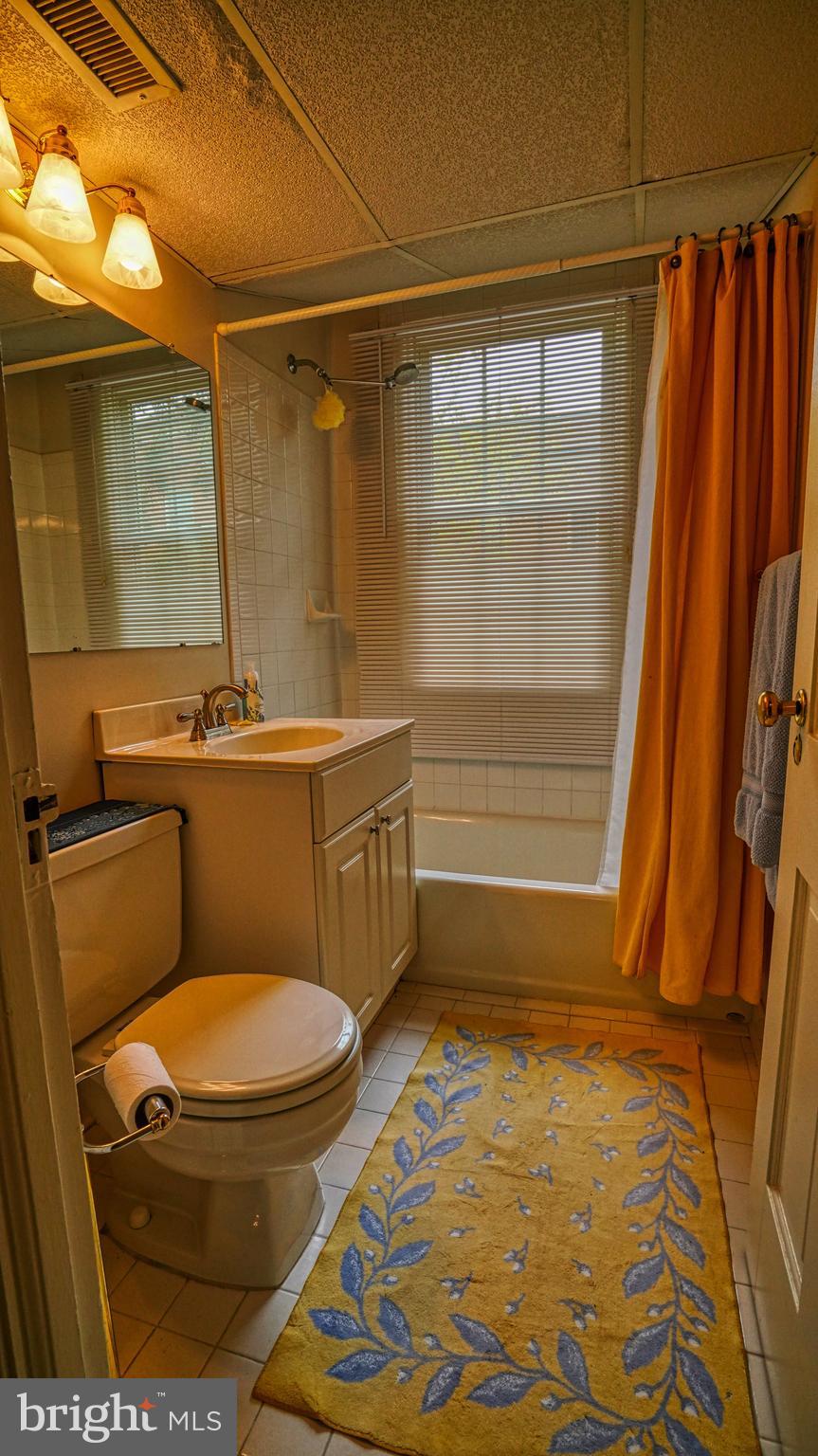 1107 North Pitt Street, Unit 2A Alexandria, VA 22314 - Photo 22 of 32 a bathroom with a sink and a mirror