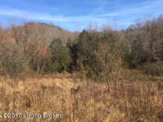 0 Green Tree Road Edmonton, KY 42129 - Photo 15 of 21 IMG_5690