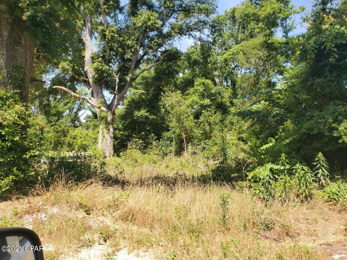0 Burbank Road Marianna, FL 32446 - Photo 4 of 5 Gallery Image 4