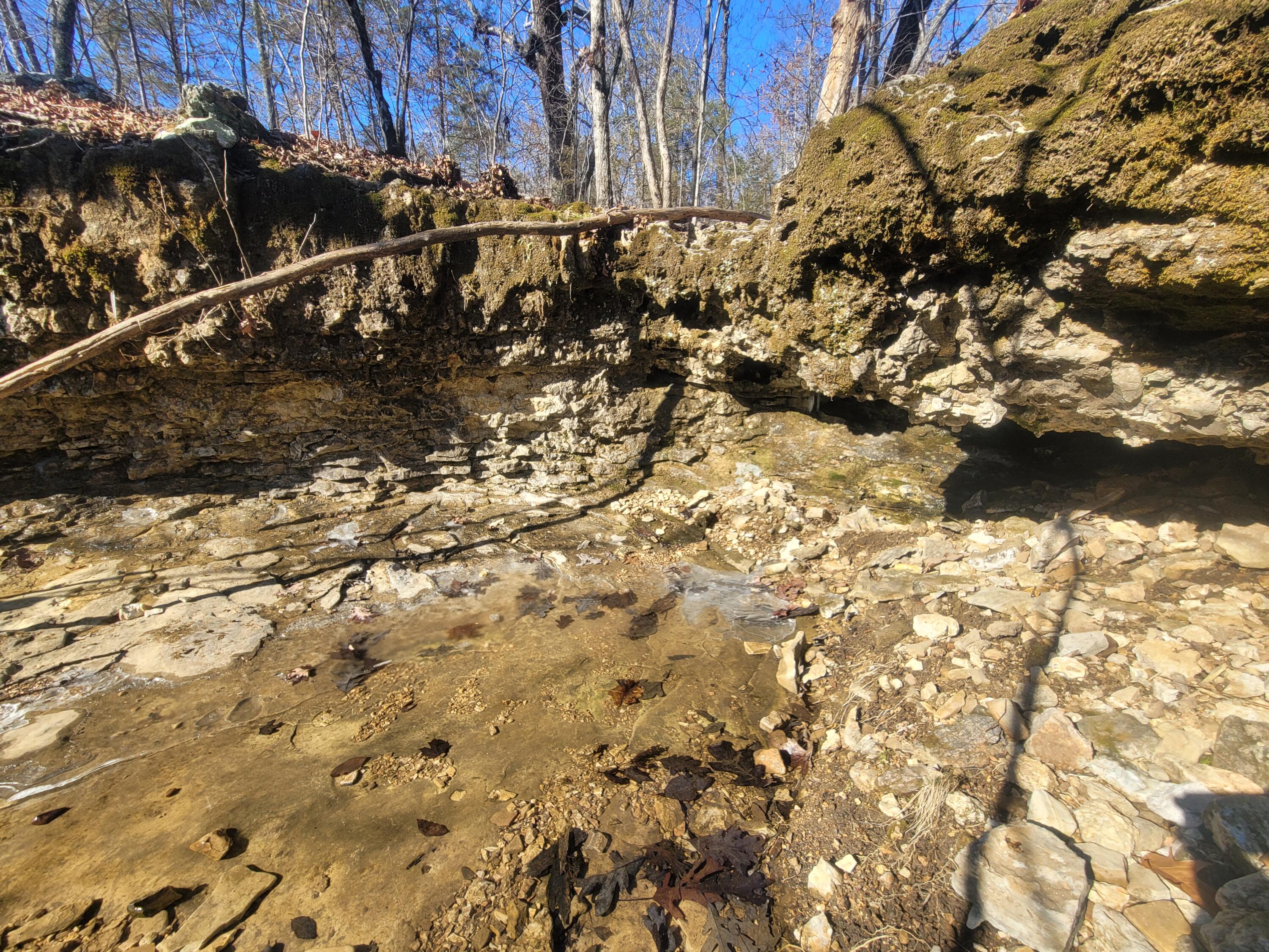 361 Hickory Flats Road Ava, MO 65608 - Photo 26 of 47 20250123_105432