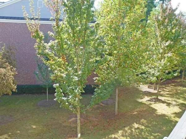 a backyard of a house with lots of green space