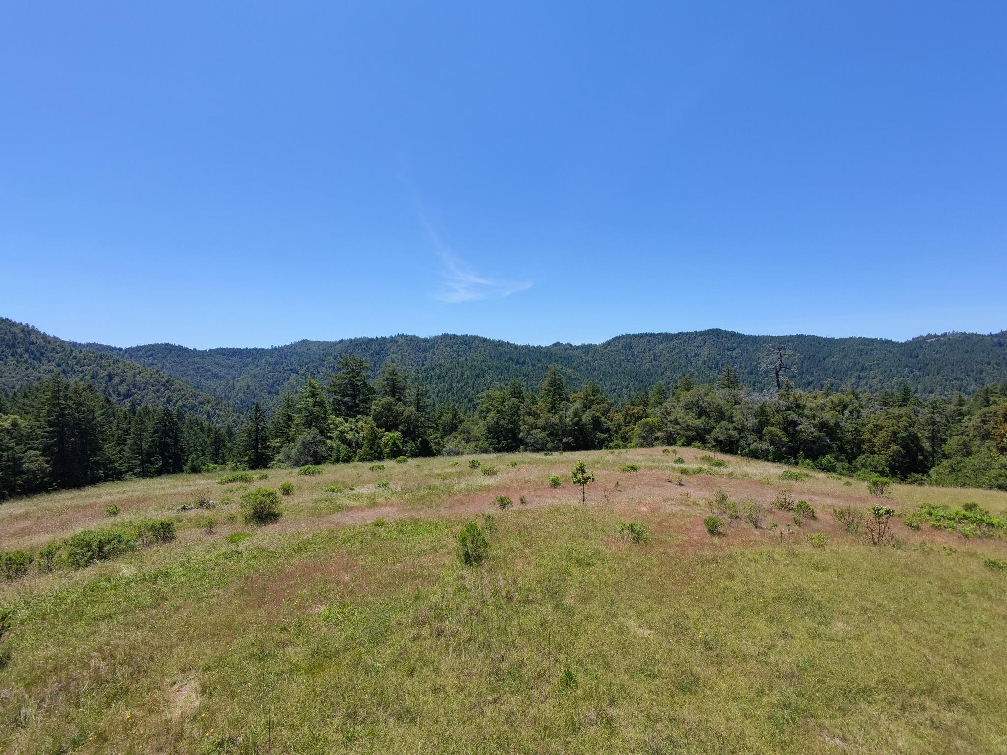 3800 Hansen Ranch Road Garberville, CA 95542 - Photo 62 of 66