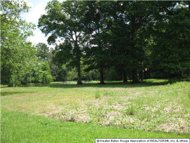0 Trey Avenue Baton Rouge, LA 70818 - Photo 2 of 6 Gallery Image 2