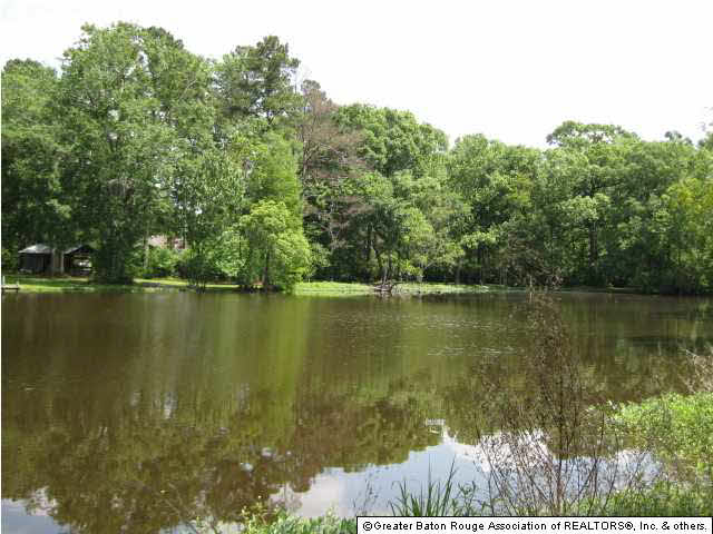 0 Trey Avenue Baton Rouge, LA 70818 - Photo 4 of 6 Gallery Image 4