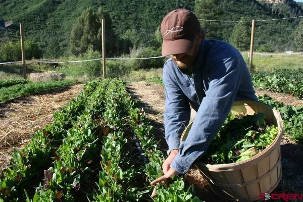 a view of a sink and a yard in back
