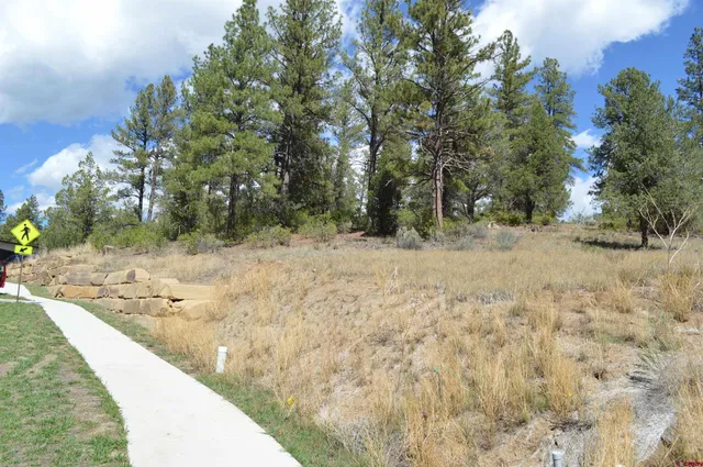 a view of a yard covered with snow