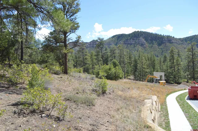 a view of a backyard with trees