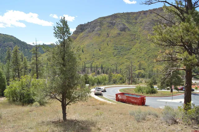 a view of a park with large trees