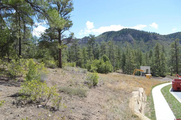 a view of a backyard with trees