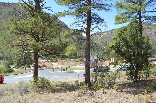 a view of a yard with plants and trees