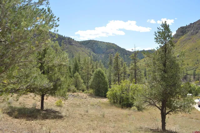 a view of a yard with a tree