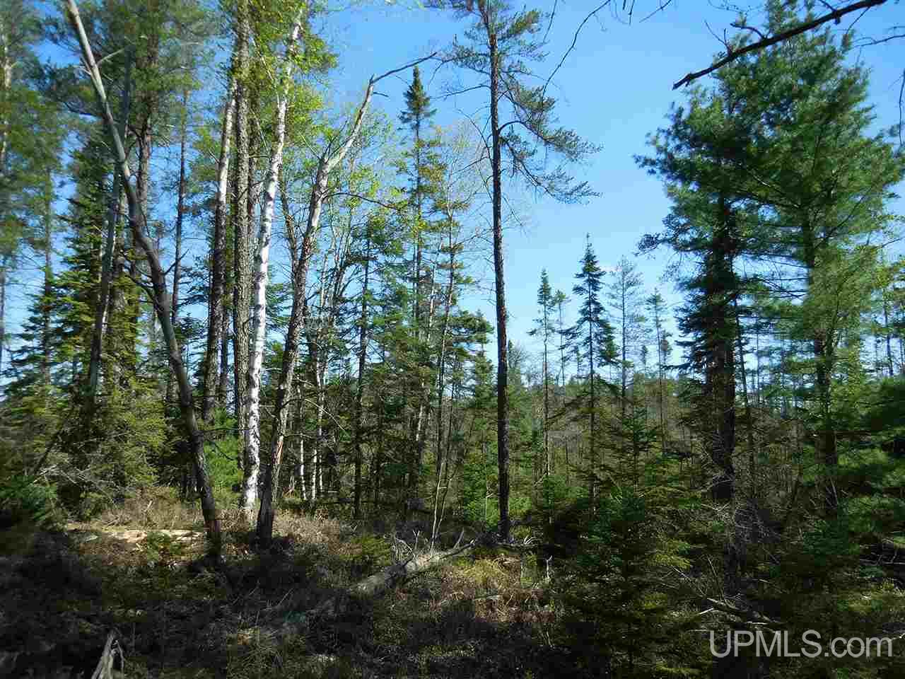 1480 Acres On Co Road Manistique, MI 49854 - Photo 31 of 49