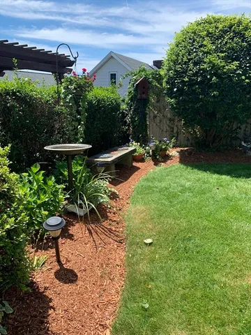 a view of a yard with plants and a bench