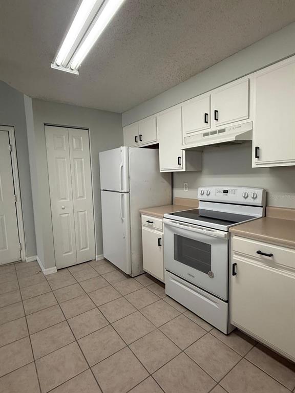 10831 Windsor Walk Drive, Unit 311 Orlando, FL 32837 - Photo 6 of 16 a kitchen with cabinets and white appliances