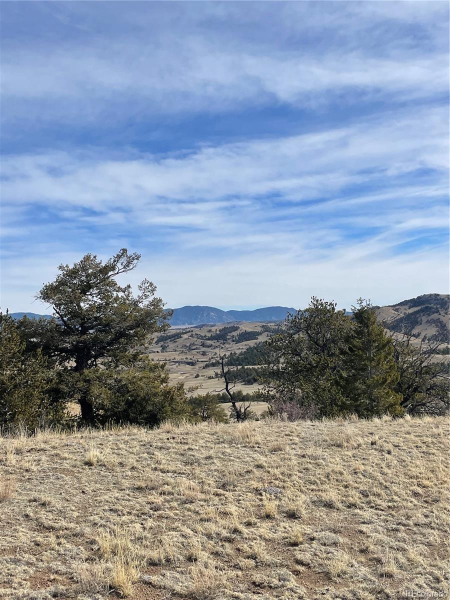 Antelope Road Hartsel, CO 80449 - Photo 8 of 15