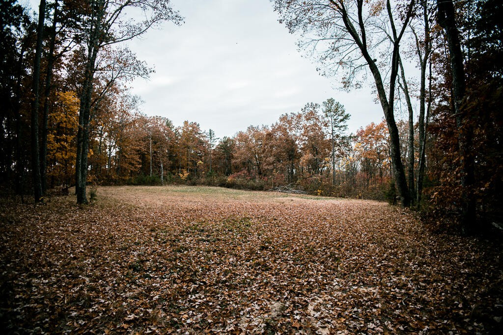 0 Reed Lane Soddy-Daisy, TN 37379 - Photo 13 of 47 Gallery Image 13