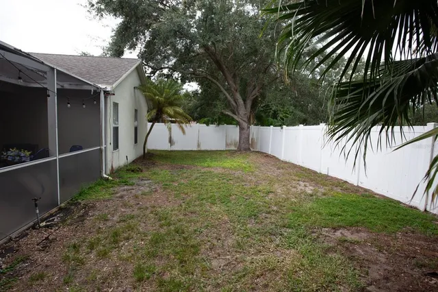 a view of a backyard with a tree