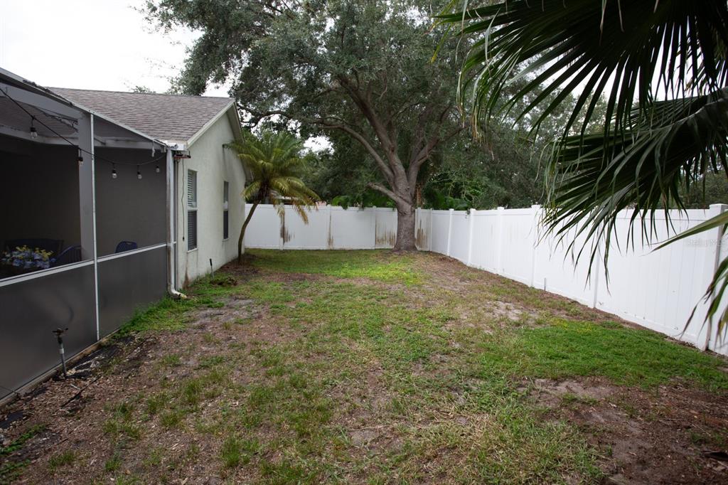 11617 Brookmore Way Riverview, FL 33569 - Photo 39 of 42 a view of a backyard with a tree