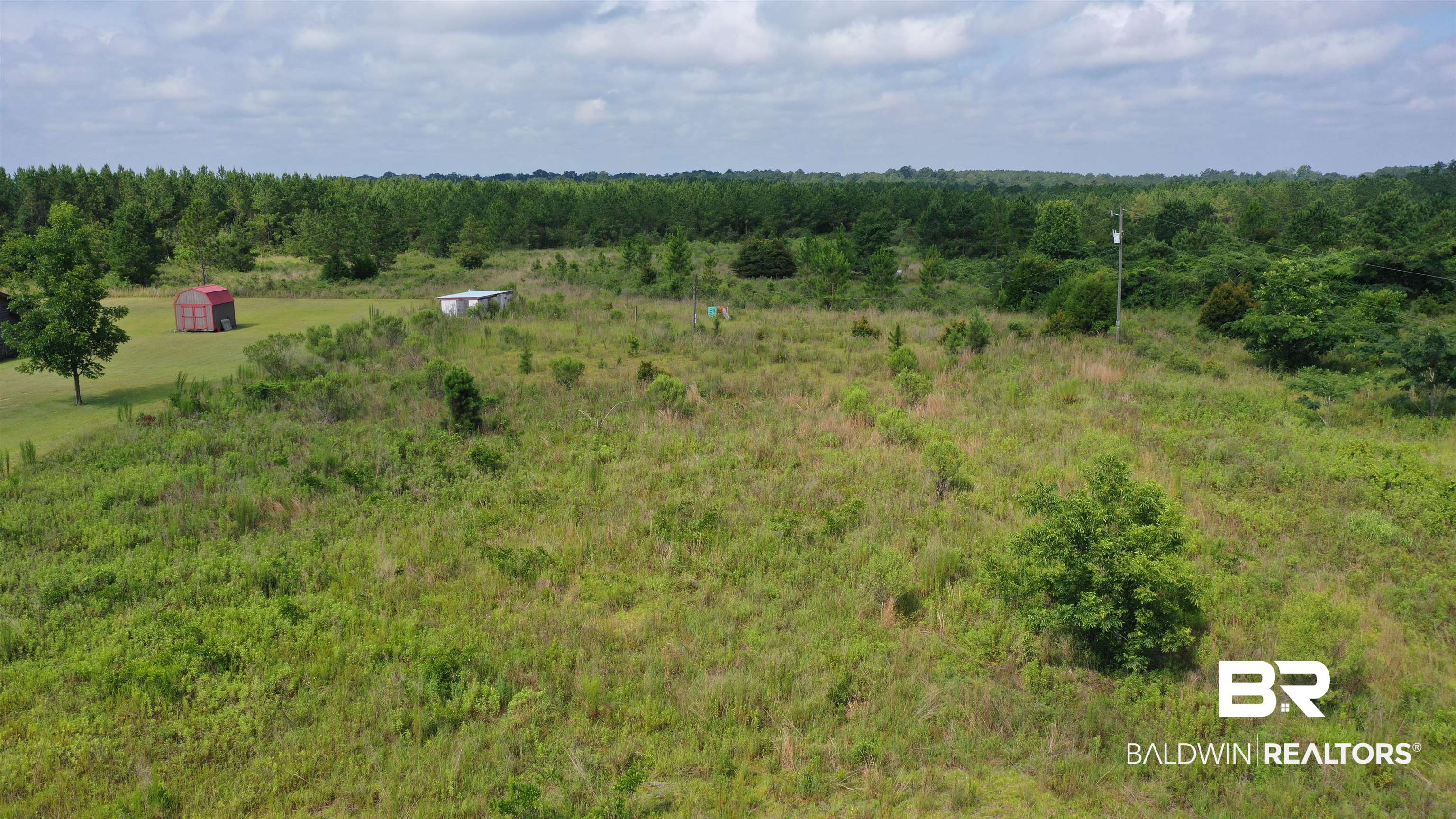 0 Highway 113 Flomaton, AL 36441 - Photo 7 of 24 View of landscape