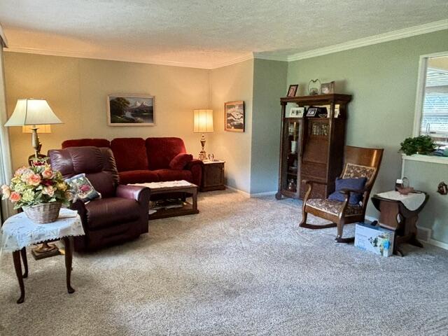 56930 Franklin Drive Three Rivers, MI 49093 - Photo 11 of 33 IMG_8662