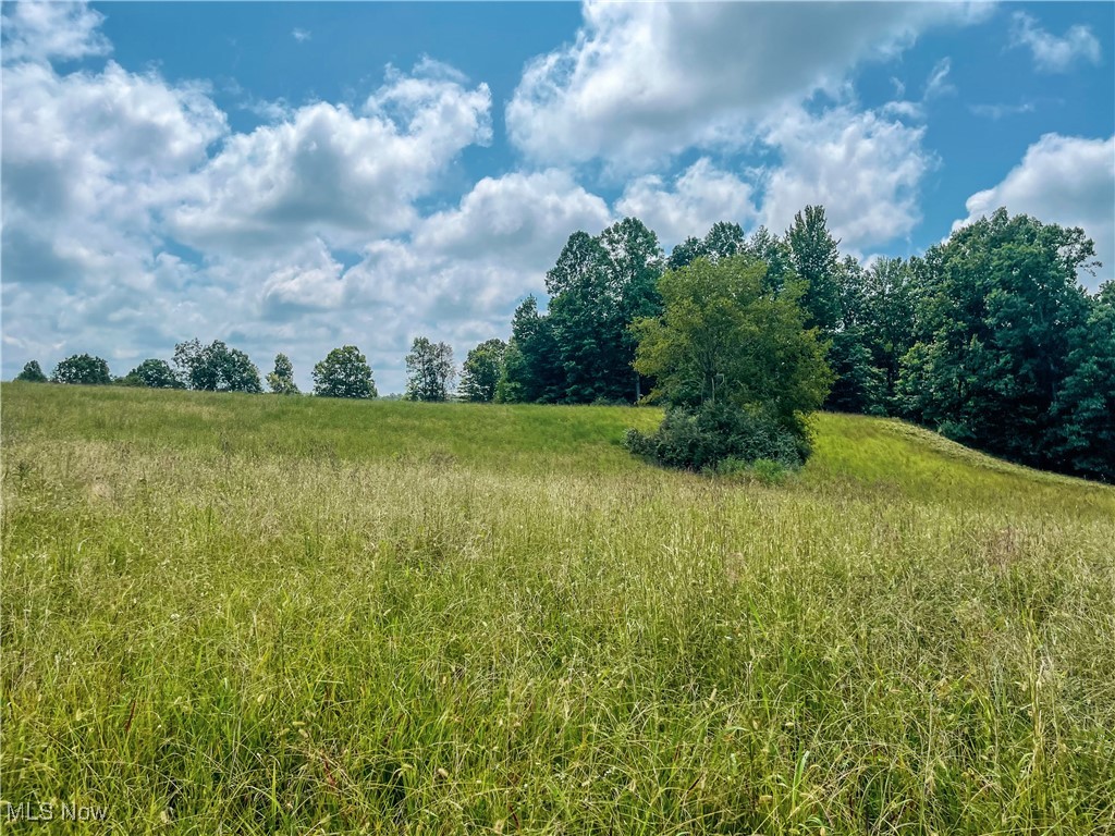 226 Banner Hill Road Spencer, WV 25276 - Photo 7 of 35