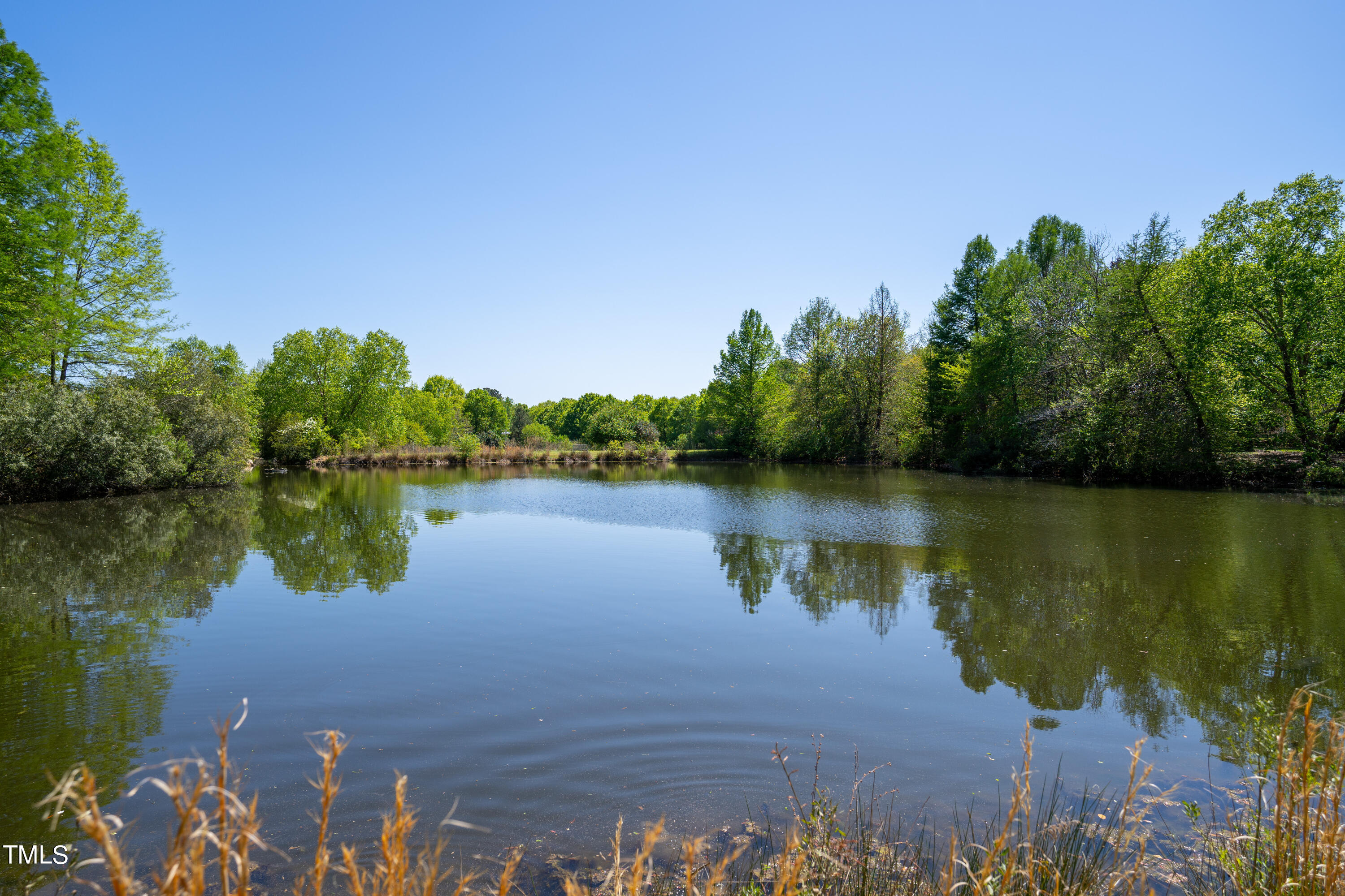 243 Fox Ridge Pittsboro, NC 27312 - Photo 57 of 62 Fearrington pond