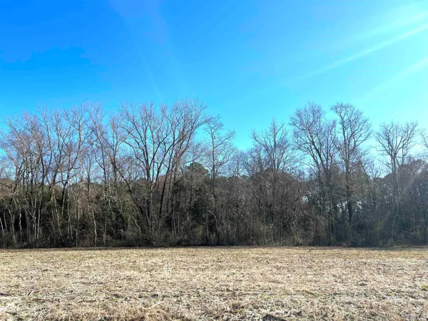 a view of wooden fence