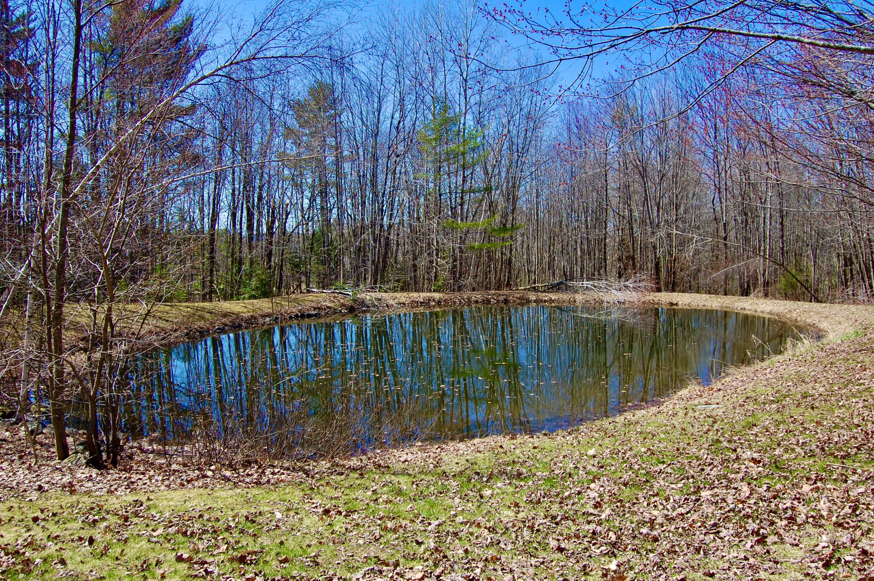346 Cape Cod Hill Road New Sharon, ME 04955 - Photo 49 of 67 Pond1