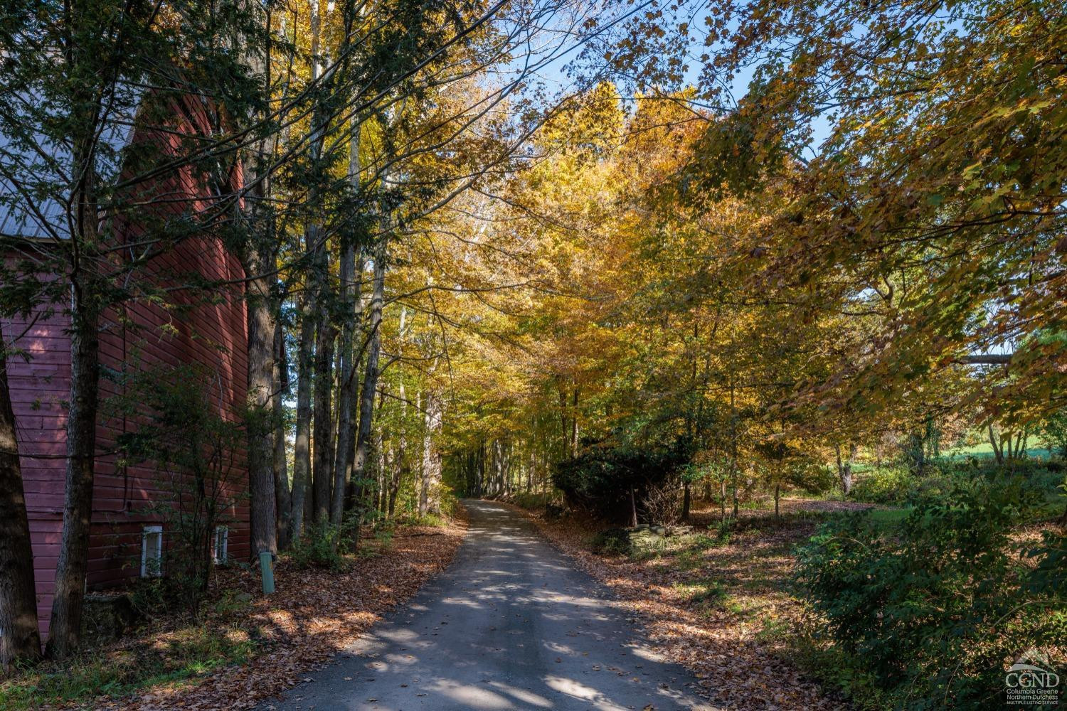 98 Goetz Road East Chatham, NY 12060 - Photo 23 of 28 a view of outdoor space and yard