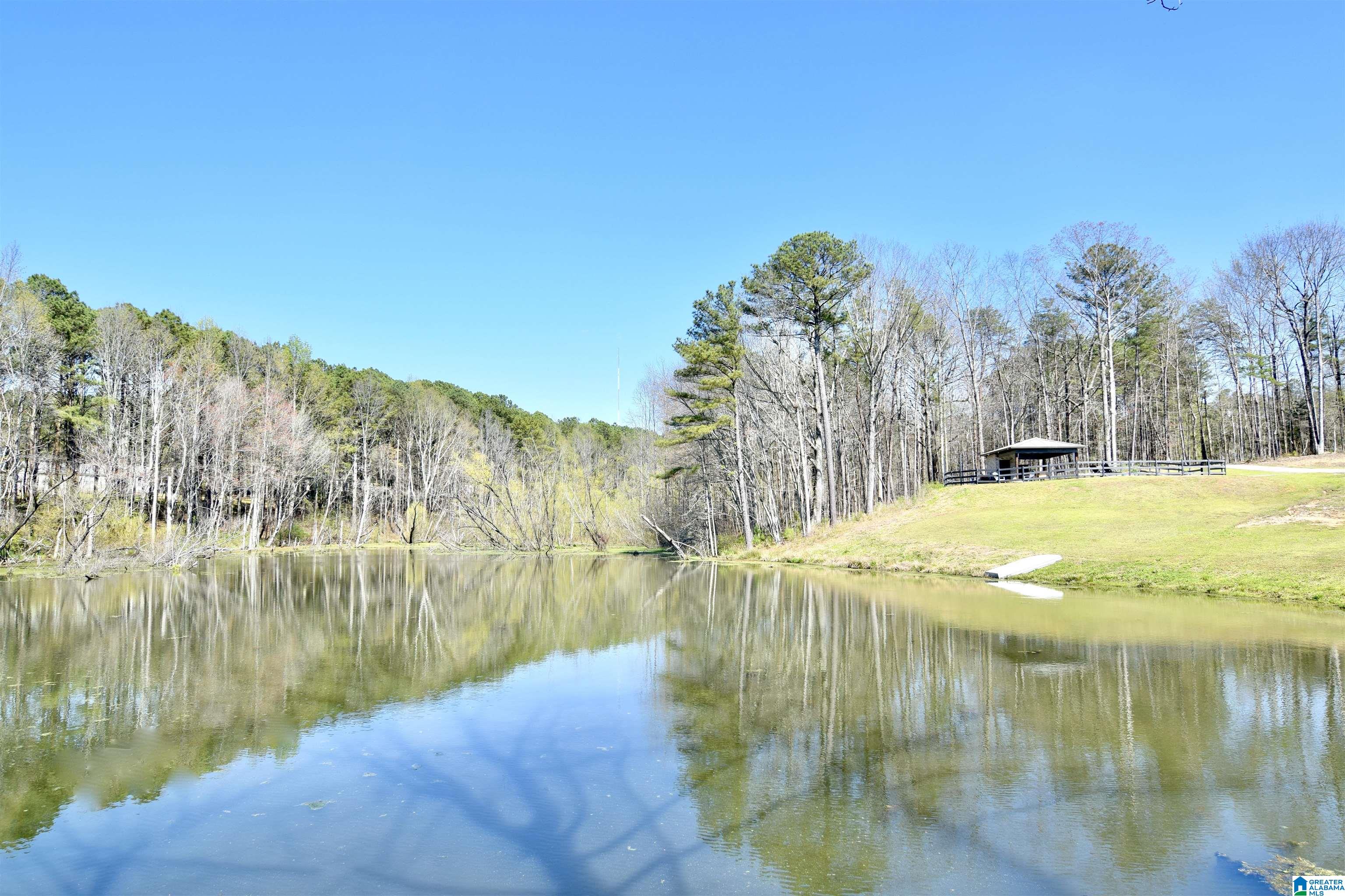 544 Prophecy Lane Springville, AL 35146 - Photo 41 of 47