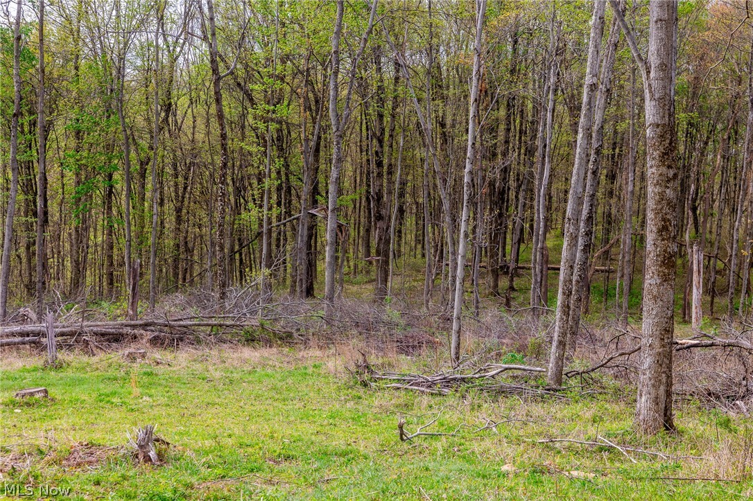 2115 Goss Fork Road, Unit 2 Whipple, OH 45788 - Photo 5 of 23