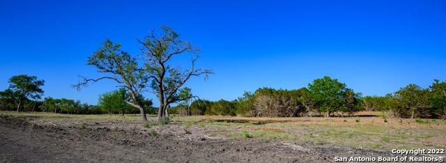 61 Seep Springs Drive Kerrville, TX 78028 - Photo 4 of 11