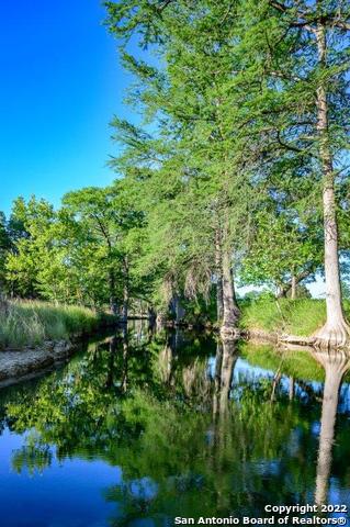 61 Seep Springs Drive Kerrville, TX 78028 - Photo 9 of 11