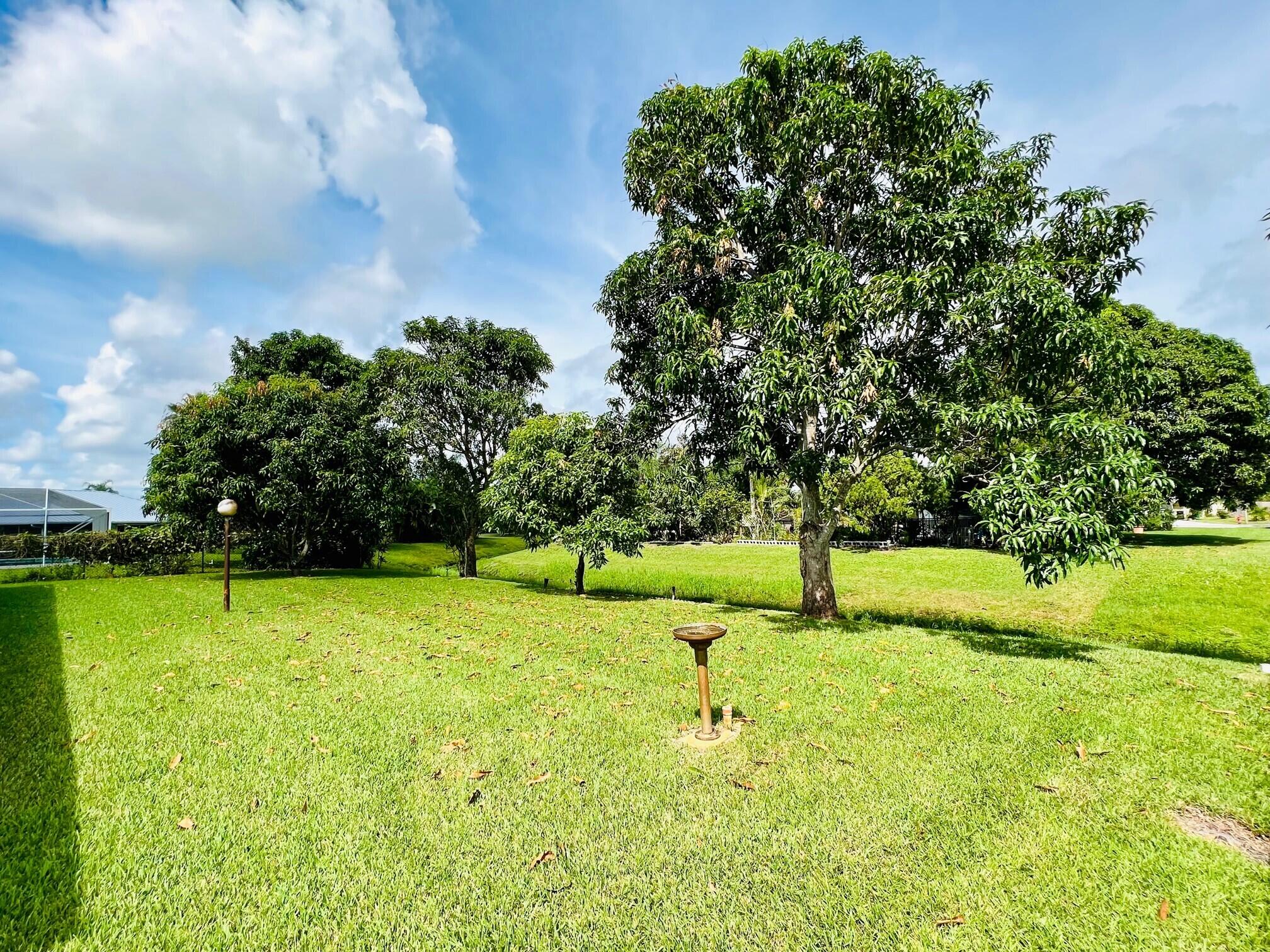 1505 Southeast Pitcher Road Port St. Lucie, FL 34952 - Photo 4 of 17 Rear Yard