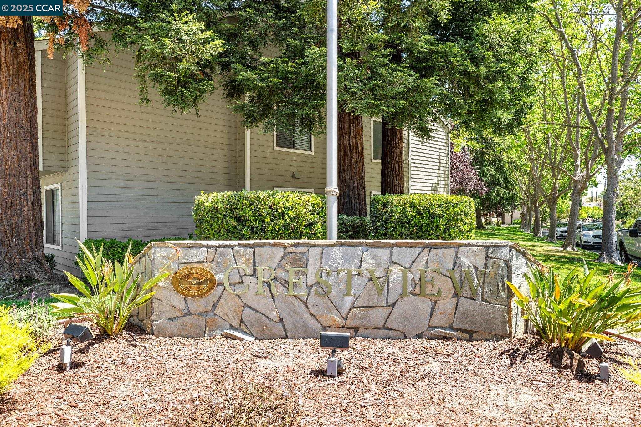 a view of a garden with a bench