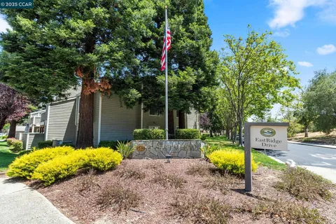 a view of a garden with a bench