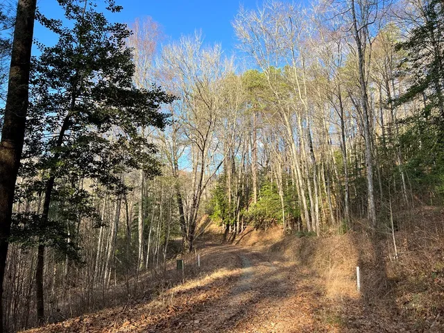 $49,000 | Lot 45 Tusquittee Crossing, Hayesville, NC 28904