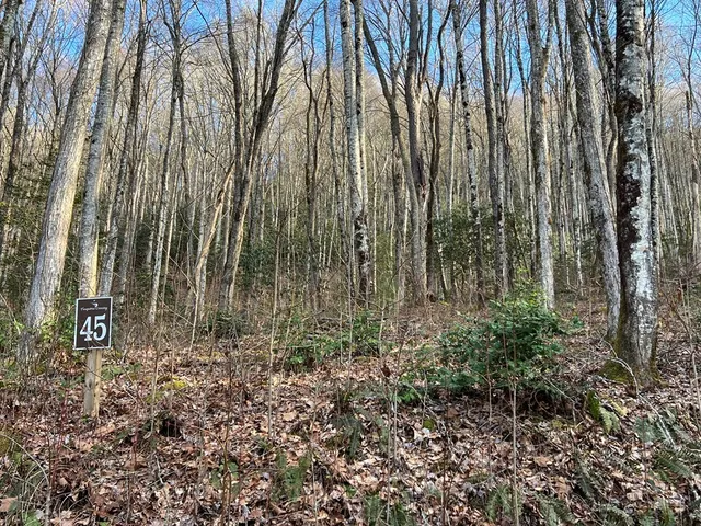 $49,000 | Lot 45 Tusquittee Crossing, Hayesville, NC 28904