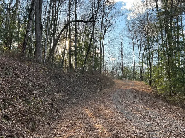 $49,000 | Lot 45 Tusquittee Crossing, Hayesville, NC 28904