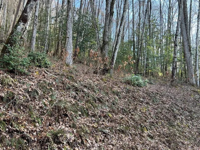 $49,000 | Lot 45 Tusquittee Crossing, Hayesville, NC 28904