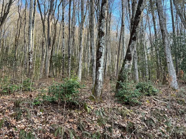 $49,000 | Lot 45 Tusquittee Crossing, Hayesville, NC 28904