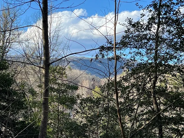 $49,000 | Lot 45 Tusquittee Crossing, Hayesville, NC 28904