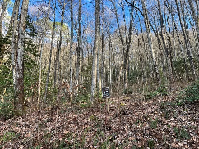 $49,000 | Lot 45 Tusquittee Crossing, Hayesville, NC 28904