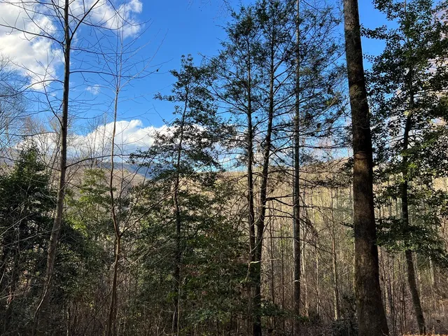 $49,000 | Lot 45 Tusquittee Crossing, Hayesville, NC 28904