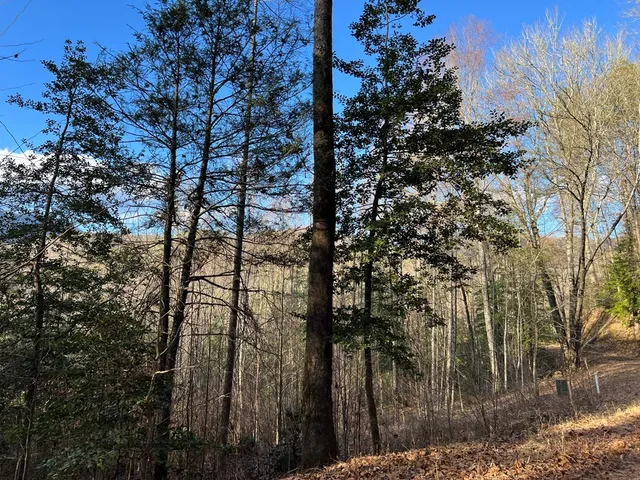 $49,000 | Lot 45 Tusquittee Crossing, Hayesville, NC 28904
