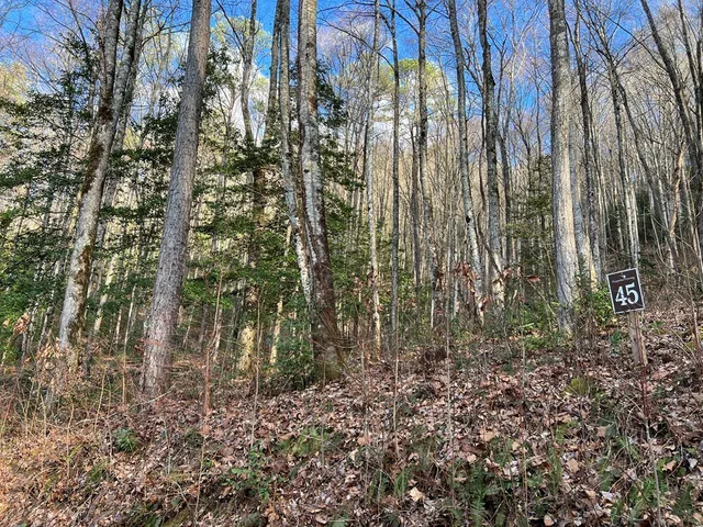 $49,000 | Lot 45 Tusquittee Crossing, Hayesville, NC 28904