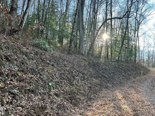 $49,000 | Lot 45 Tusquittee Crossing, Hayesville, NC 28904