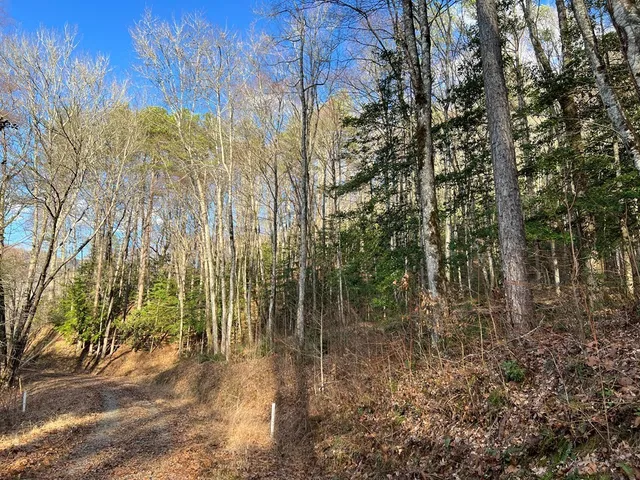 $49,000 | Lot 45 Tusquittee Crossing, Hayesville, NC 28904